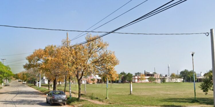 Alarma en Tucumán: denuncian aparición de serpientes en barrio Parque Sur y crece la preocupación vecinal