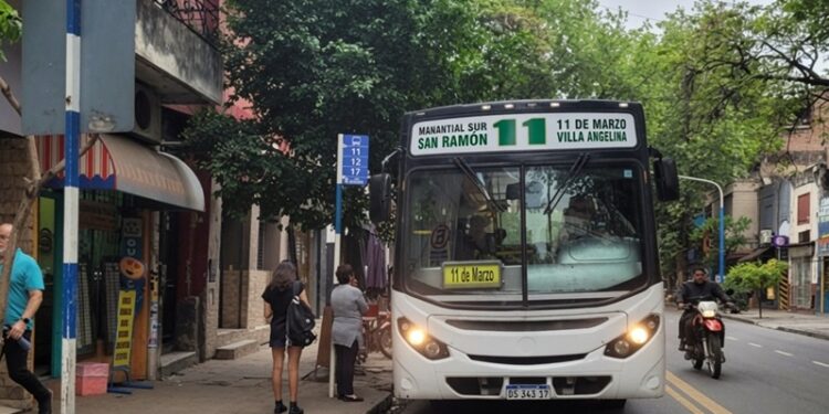Tucumán modificará la frecuencia de colectivos por la semifinal entre Argentina e Inglaterra