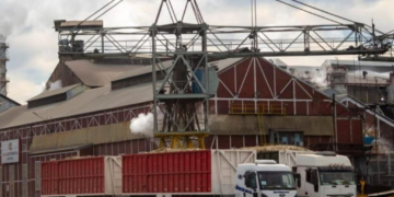 El transporte y los costos energéticos condicionan la actividad de la industria azucarera en el norte del país