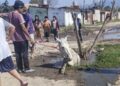 Indignación en Manantial Sur: un caballo cayó a un pozo y los vecinos exigen respuestas urgentes