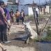 Indignación en Manantial Sur: un caballo cayó a un pozo y los vecinos exigen respuestas urgentes