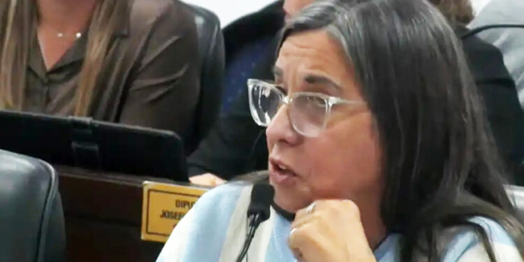 Propuesta sobre salud sexual y placer femenino irrumpe en la agenda legislativa de Chaco